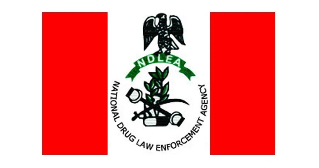 NDLEA vs Senator Ashiru: Lawyer urges anti-narcotics agency to address alleged internal corruption