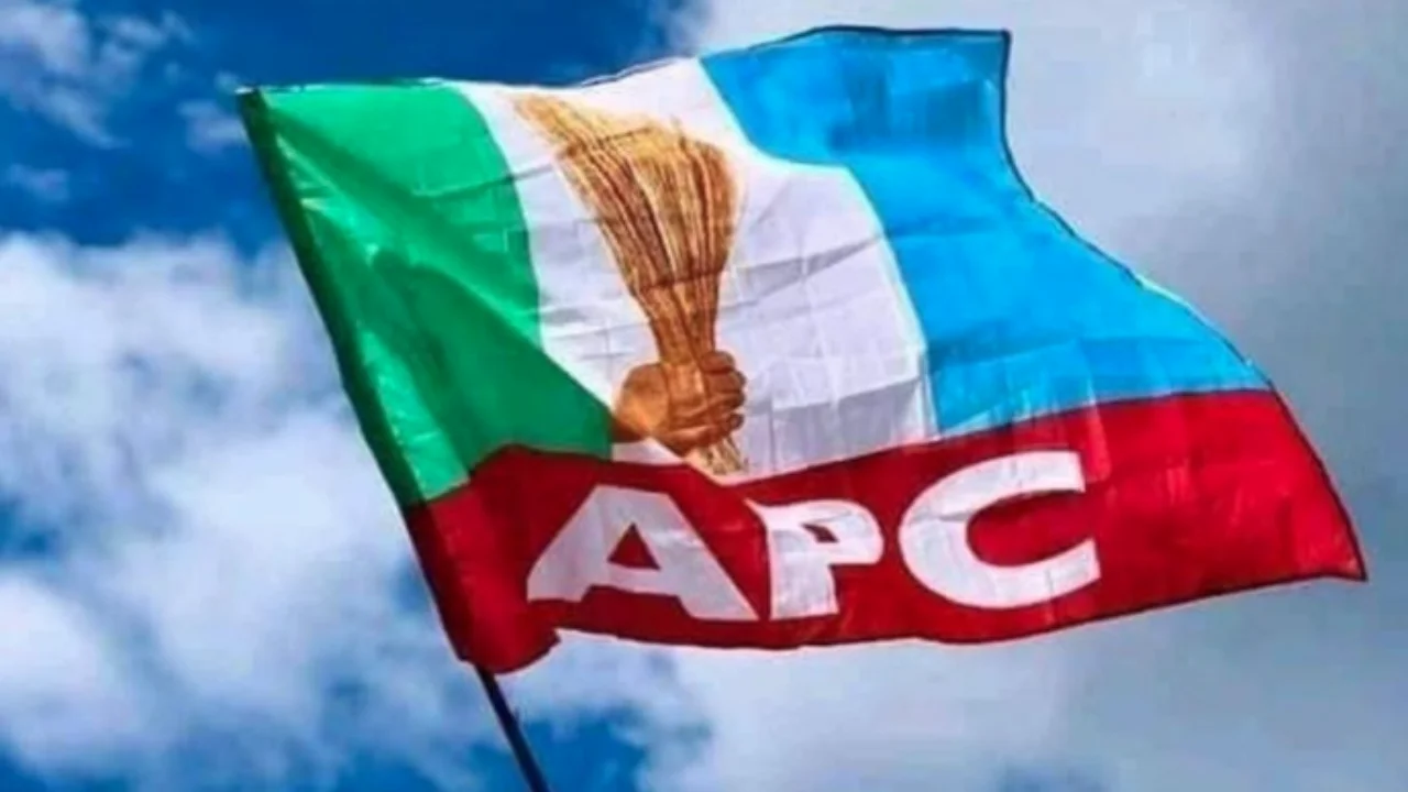 Shettima vs Tinubu: Kwankwaso group trying to cause problem in our party – APC