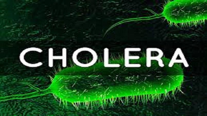 Cholera outbreak kills 12 in Ogun