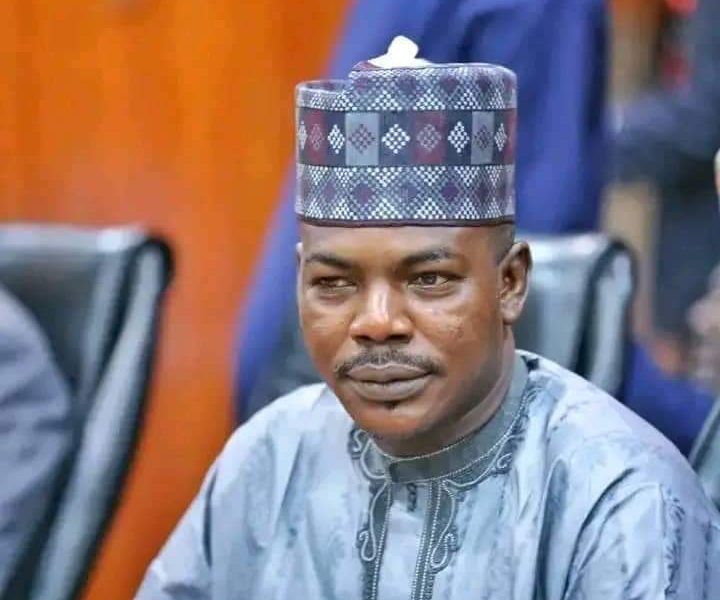 Borno Senator seeks review of Nigerian laws