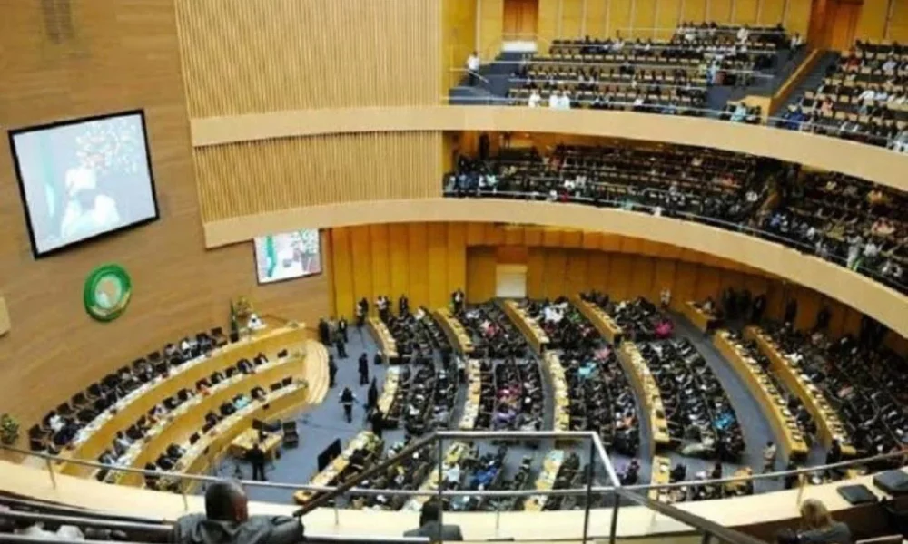 Niger sanctions will be lifted if junta shows goodwill – ECOWAS