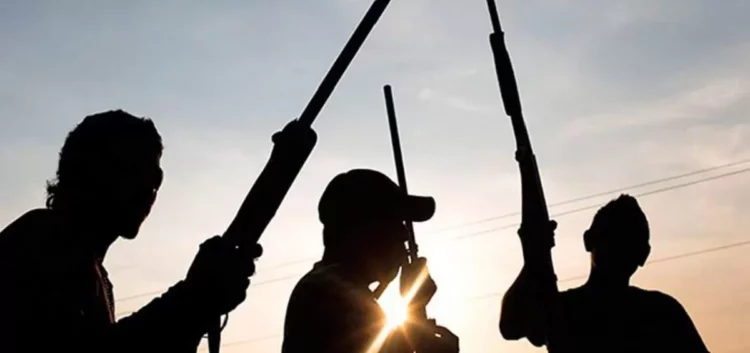 JUST-IN: Gunmen Kill 4 In Plateau Village