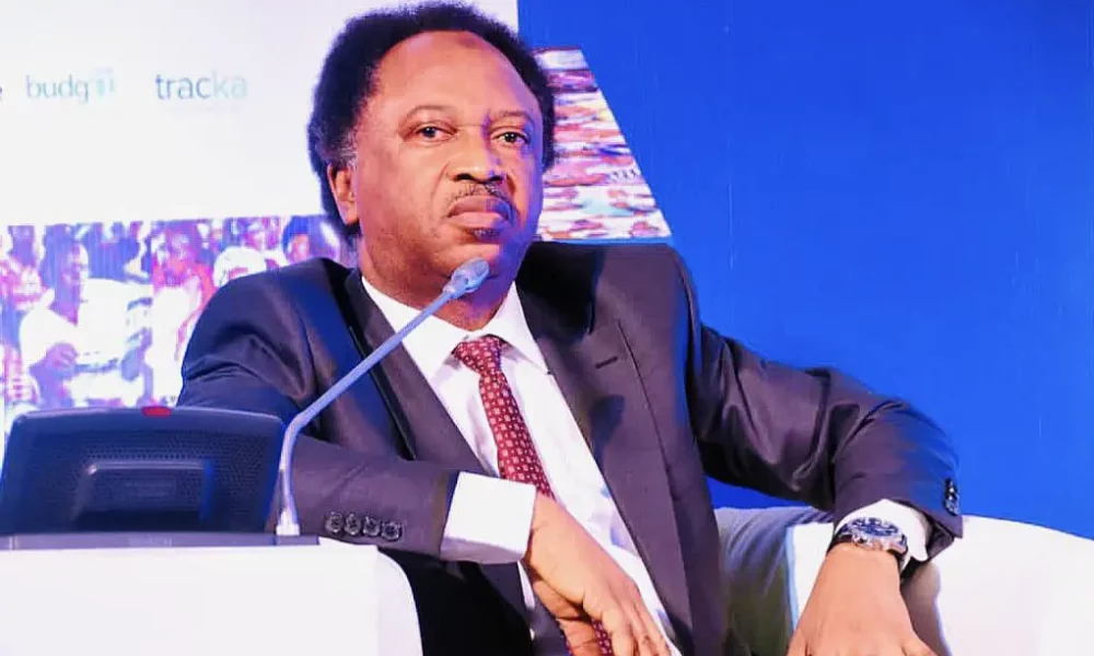 ‘Govs will use state police to persecute opposition, rig election’ – Shehu Sani warns