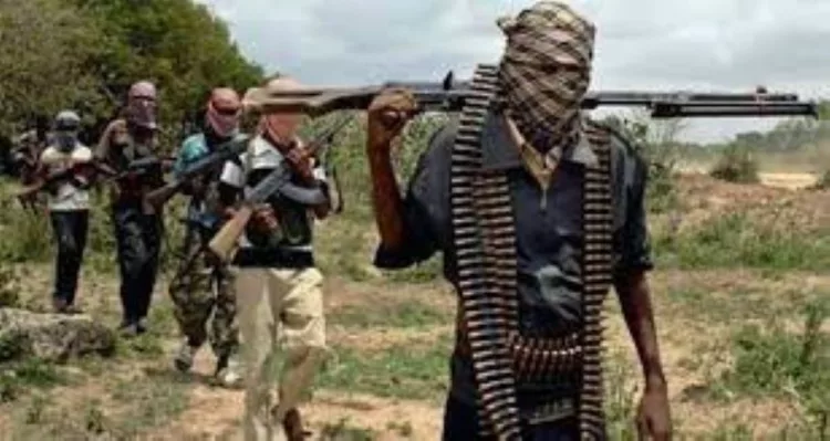 Zamfara Gov’t Denies Banning Bread Making, Says It Only Blocked Supply Chain To Bandits