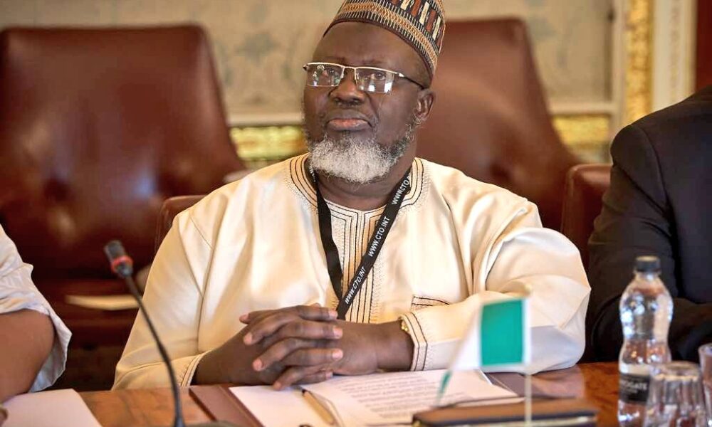 Give bandits promising future – Buhari’s ex-minister tells Tinubu