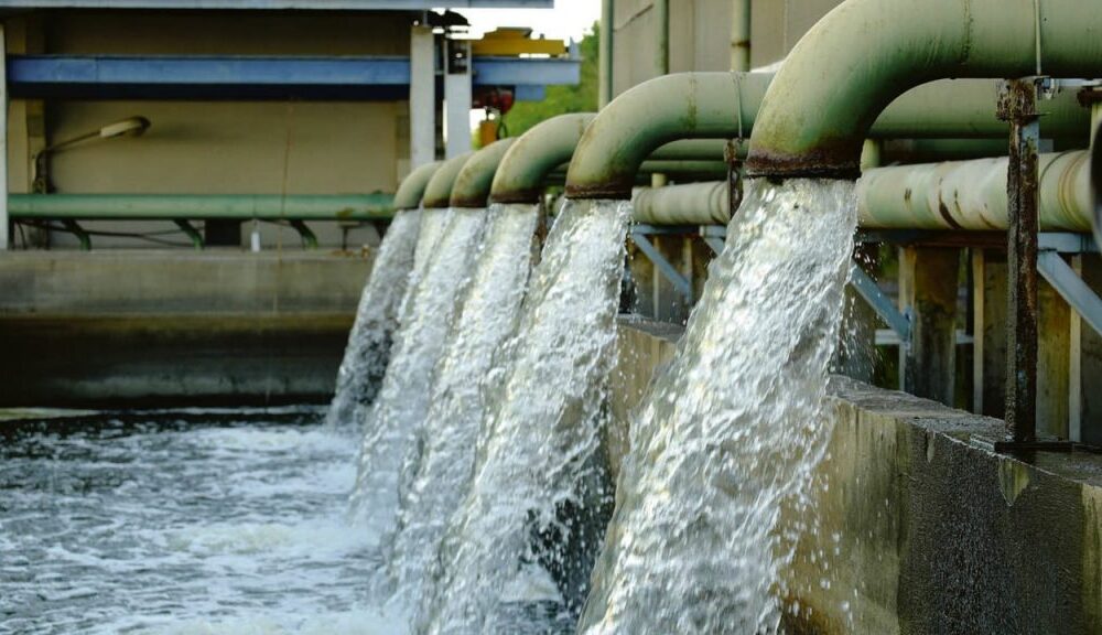 World Water Day: Expert calls for restoration of degraded water bodies, wetlands