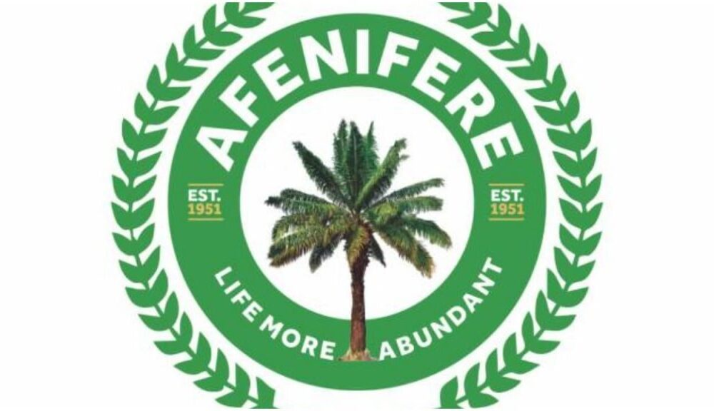 Afenifere urges South West govs to assist farmers in accessing loans, resources