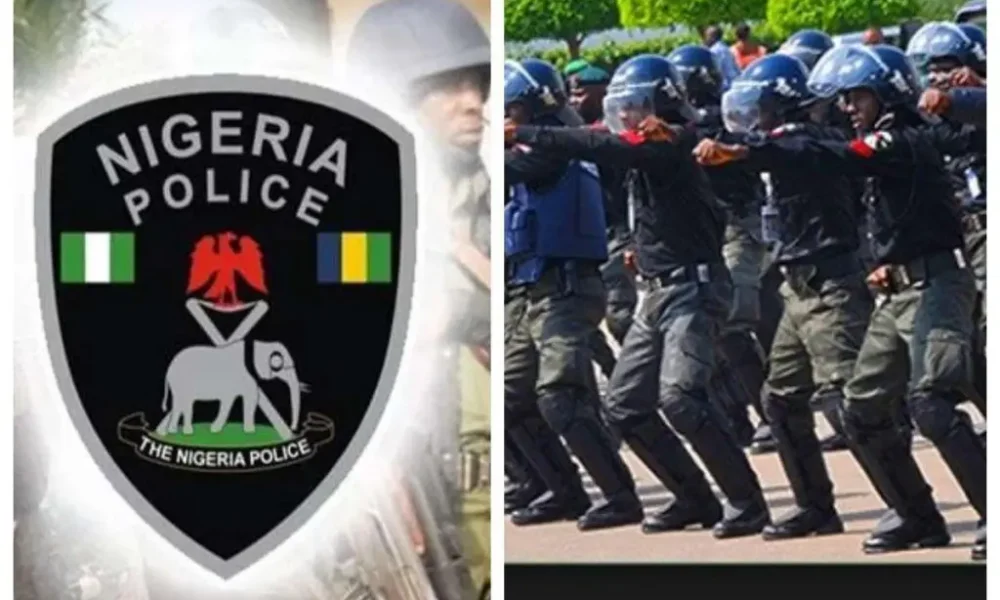 Eid-el-Fitr: Police ban horse riding in Niger