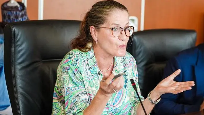 Germany, Nigeria trade relations hits €3bn – Envoy