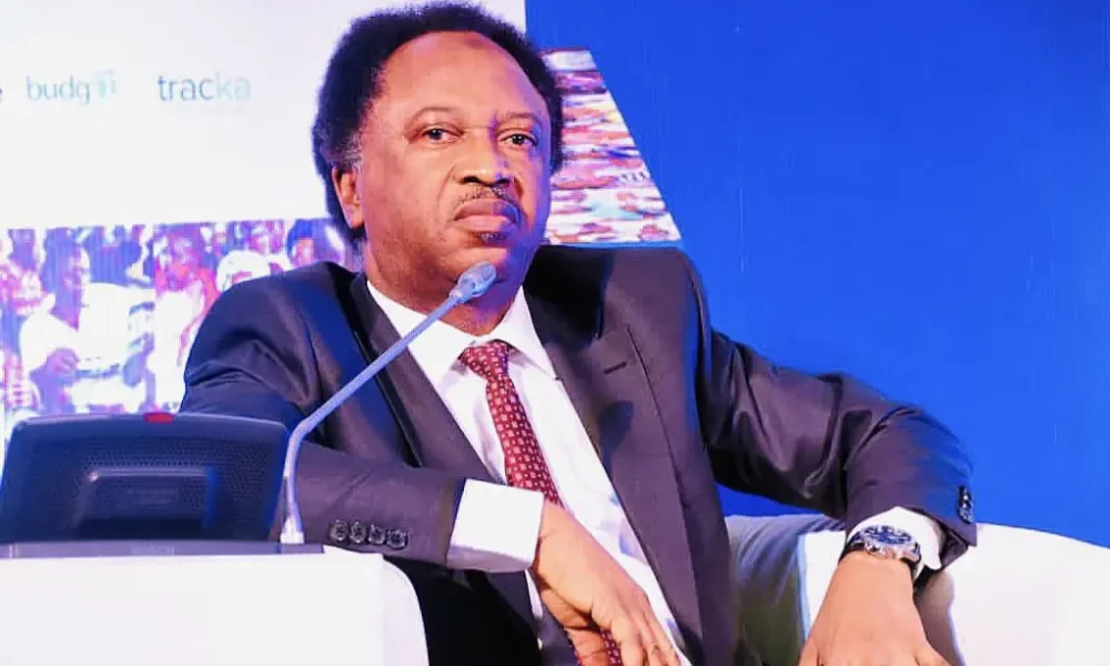 Nigeria should be giant in development, not only in population – Shehu Sani