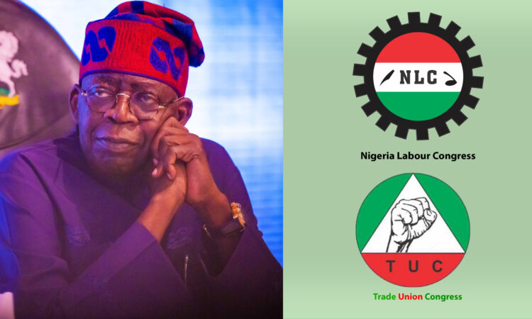 MINIMUM WAGE…Long Wait For Labour As FEC Steps Down Memo
