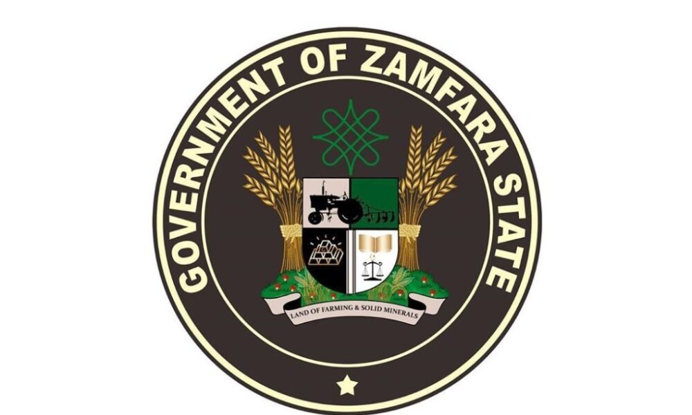 950, 000 women at risk of maternal deaths in Zamfara – State govt