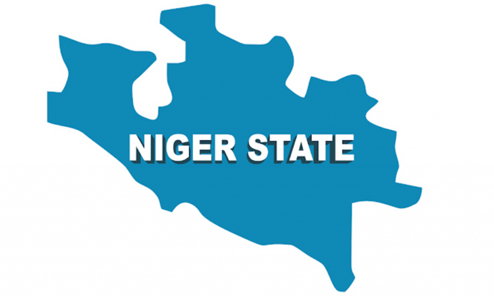 Insecurity will not affect your investment – Niger Govt assures investors