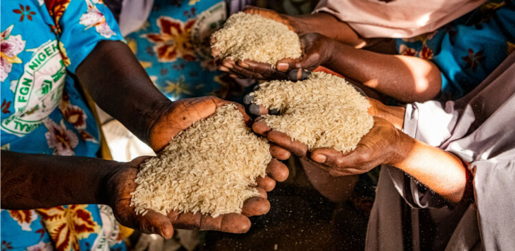 291m Africans Risk Chronic Malnutrition By 2030 — UN Report