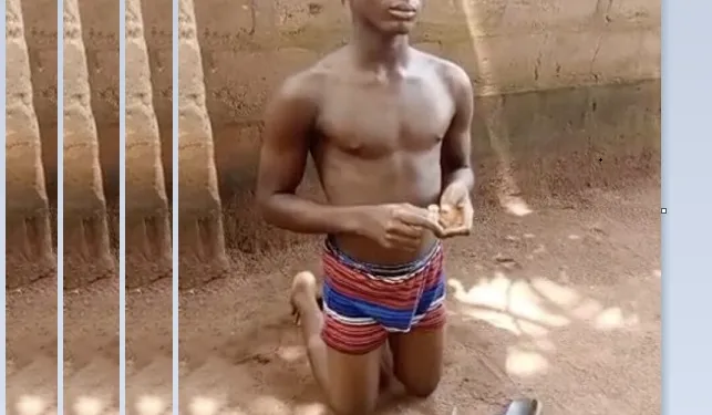 Teenage Boy Caught While Attempting to Poison Mother’s Tea (Video)