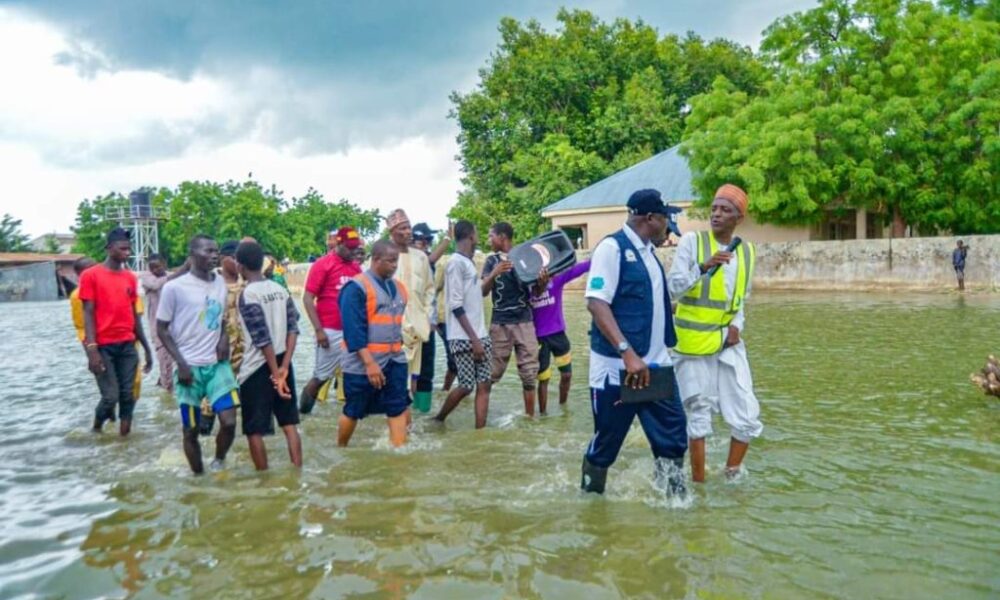 Flood sacks over 5, 000 households in Yobe