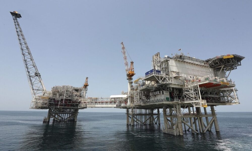 How Buhari, Kyari blocked my attempt to purchase oilfield— Elumelu