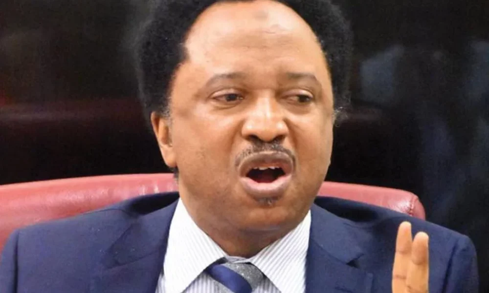 It’s time to probe ourselves as northerners, after blaming other regions – Shehu Sani