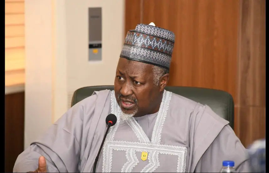 Lakurawa: Nigerian govt reveals strategies to defeat terrorist group
