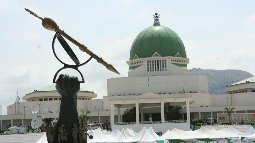 Nigeria fooling itself over border closure – NASS