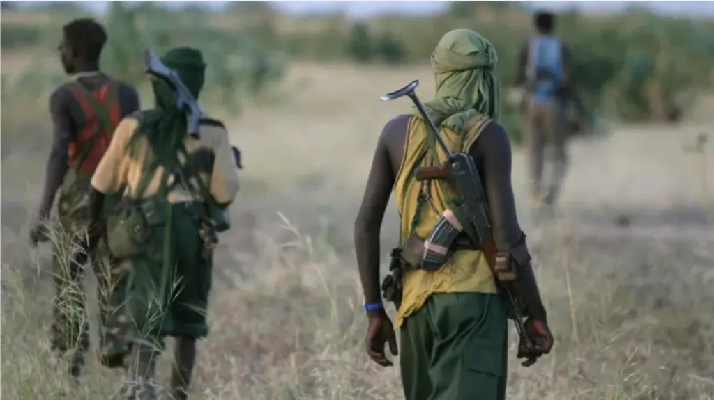 Plateau killings: 47 killed, scores injured in Irigwe chiefdom