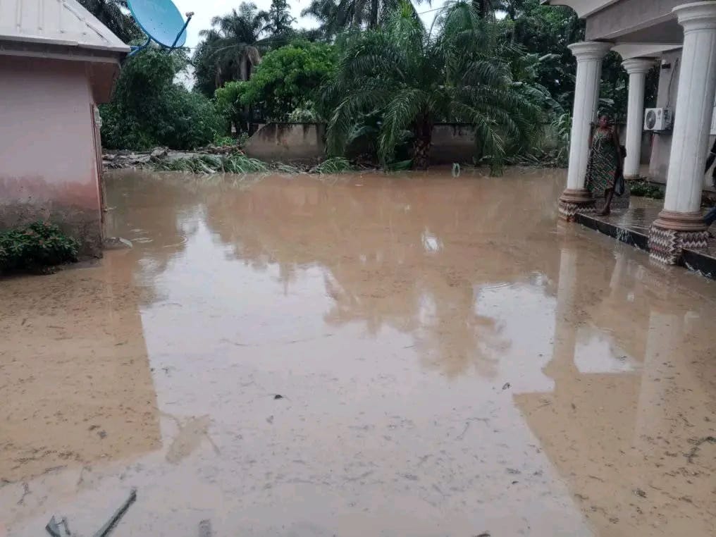 Flood ravages Borno communities, leaves two dead, dozens homeless