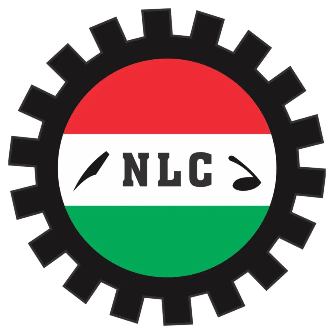 Tinubu’s two years in office: No gains, but more suffering, hardship in Nigeroa — NLC