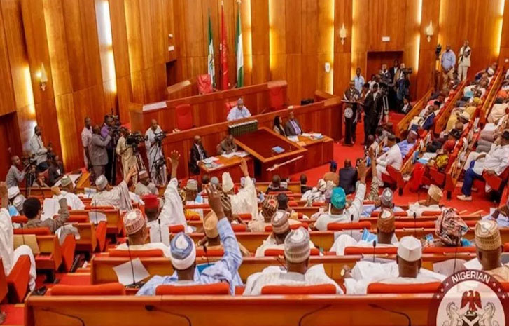 You have 10 days to account for missing N200trn – Senate tells NNPCL boss