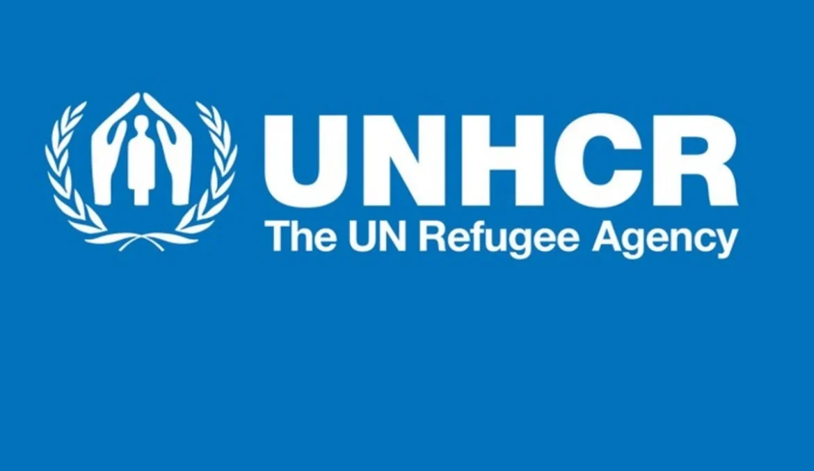 21,000 Unregistered Refugees in Nigeria – UNHCR